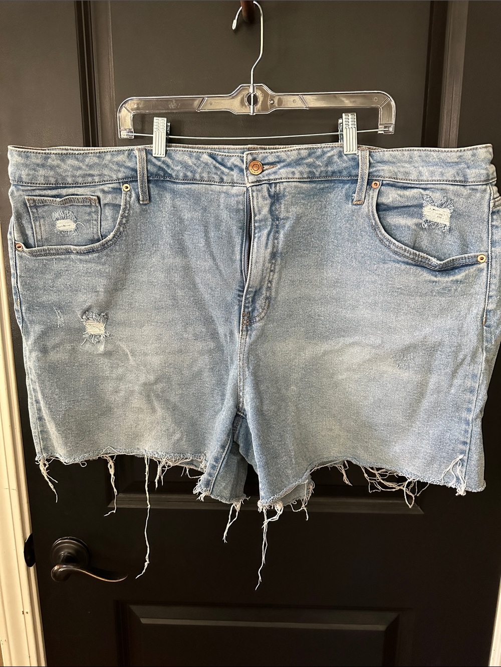 Terra & Sky Light Blue Distressed Denim Cutoff Shorts